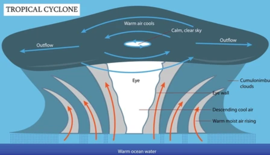 Cyclone Anatomy Diagram