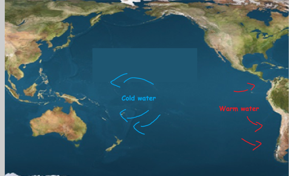 El Niño conditions with reduced upwelling