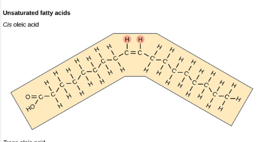 Unsaturated fatty acids